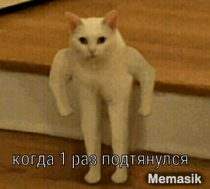 ікбгда 1 раз падтяыщщ Т Метазікч