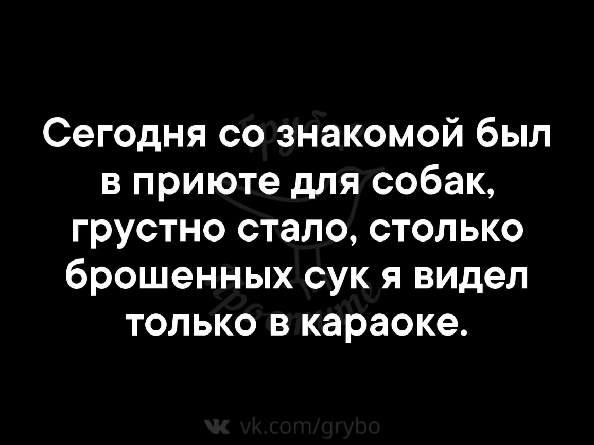 Сегодня со знакомой был в приюте для собак грустно стало столько брошенных сук я видел только в караоке