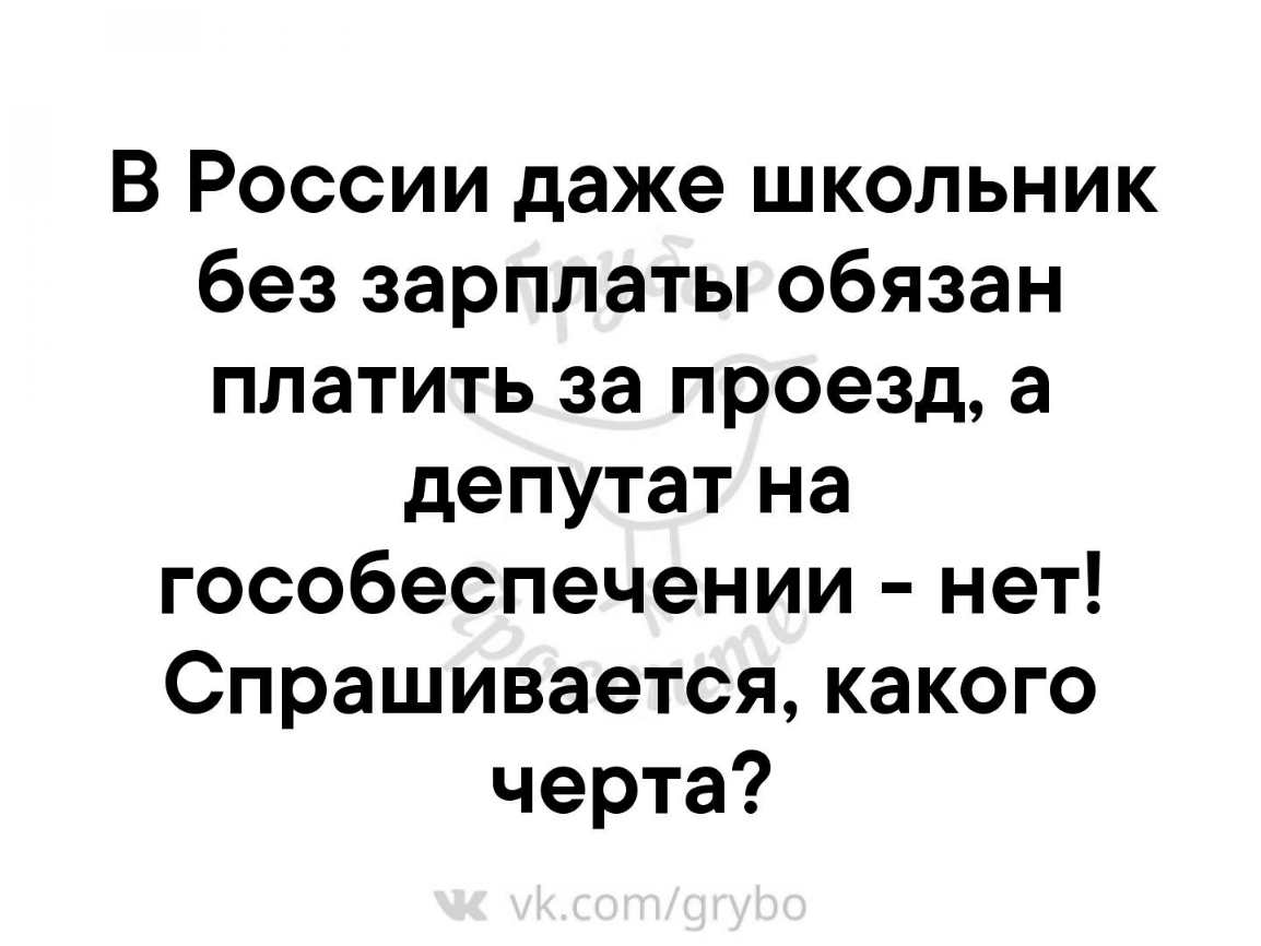 В России даже школьник без зарплаты обязан платить за проезд а депутат на гособеспечении нет Спрашивается какого черта