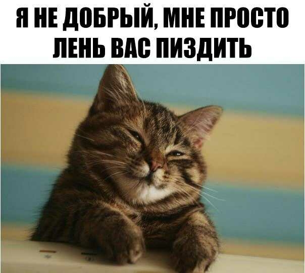 Я НЕ довгый МНЕ ПРЩЁТВ ЛЕНЬ ВМ ПИЗДИТЬ
