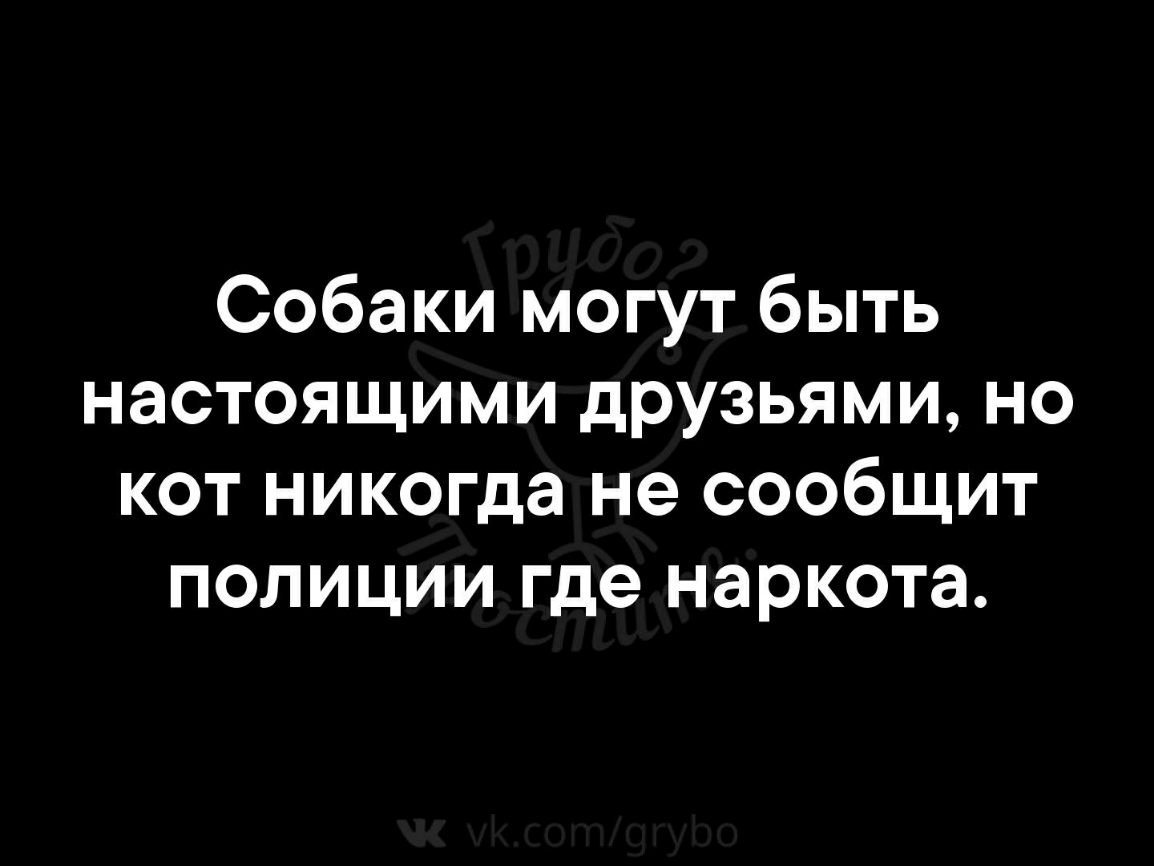 Конечно друга. Собаки могут быть настоящими друзьями но кот никогда не сообщит. Собаки могут быть настоящими друзьями но кот никогда.