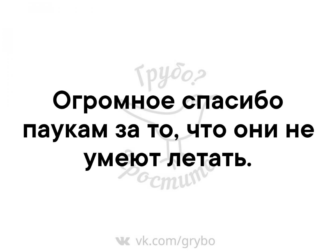 Огромное спасибо паукам за то что они не умеют летать
