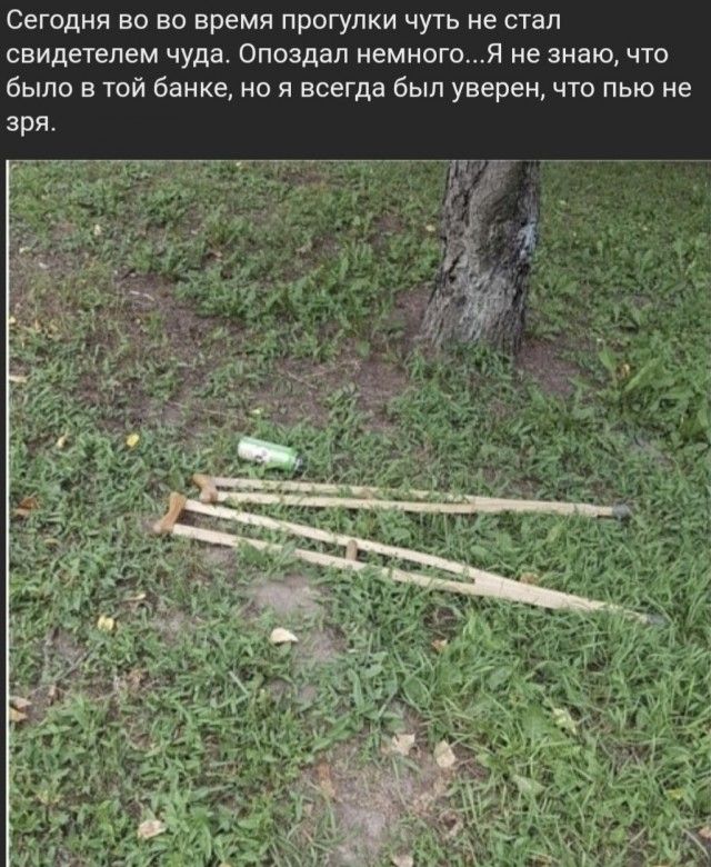 Сегодня во во время прогулки чуть не стал свидетелем чуда Опоздал немногоЯ не знаю что было в той банке но я всегда был уверен что пью не