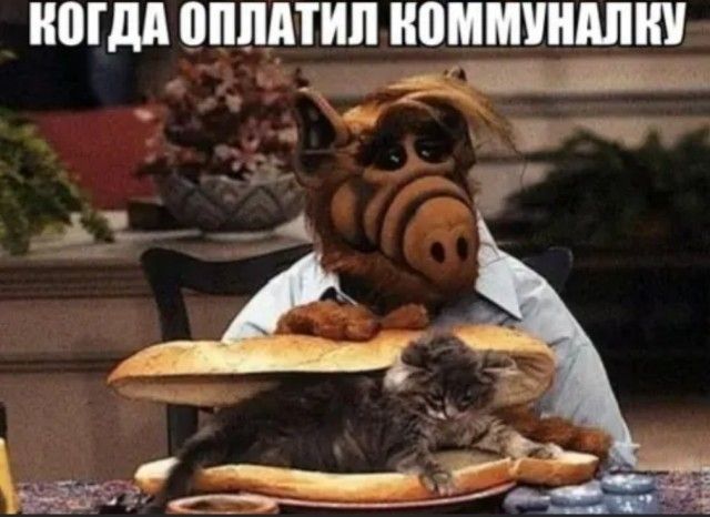 ШМ ПЦПИ ШШМУШШШ 4 _ тп