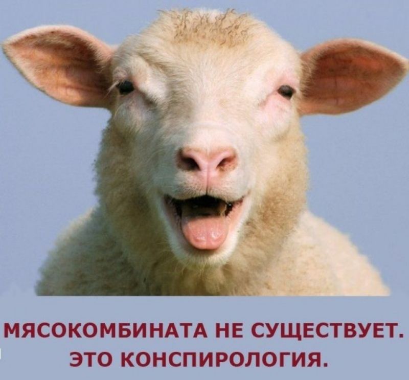 МЯСОКОМБИ НАТА НЕ СУЩЕСТВУЕТ ЭТО КОНСПИРОЛОГИЯ