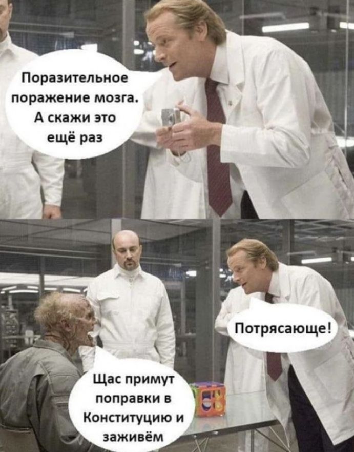 Поразительное поражение мозга А скажи это ещё раз Щас примут поправки в Конституцию и заживём