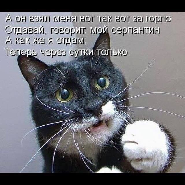 А он взял меня вот так вот за горло Отдавая говорит мг серпантин А как же я отдам Тег ег ь через су