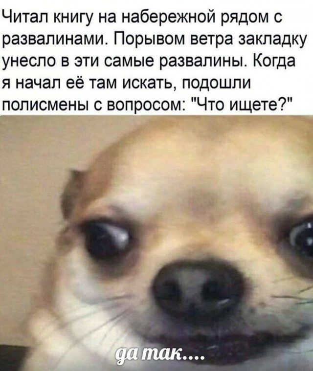 Читал книгу на набережной рядом с развалинами Порывом ветра закладку унесло в эти самые развалины Когда я начал её там искать подошли полисмены с вопросом Что ищете