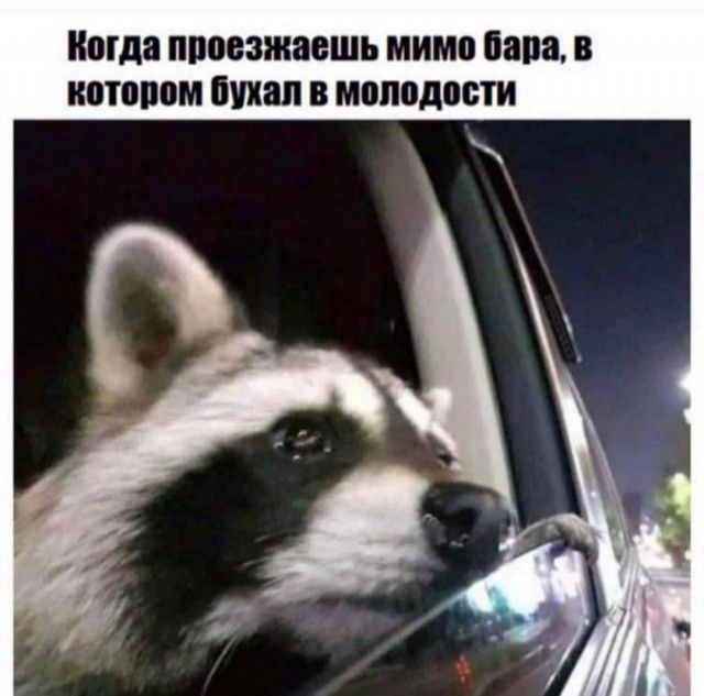 Когда ЩЮЕЗЖВВШЬ МИМП папа В ШПЩЮМ УНП В МППВДШЁТИ