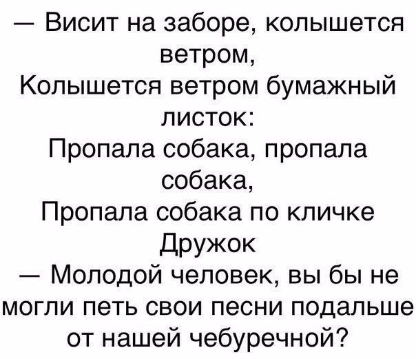 Висит на заборе колышется ветром Колышется ветром бумажный листок Пропала собака пропала собака Пропала собака по кличке дружок Молодой человек вы бы не могли петь свои песни подальше от нашей чебуречной