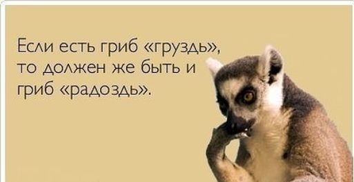 ЕСАи есть гриб груздь ТО АОАЖЕН ЖВ бЫТЬ И гриб радоздь