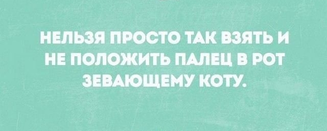 НЕЛЬЗЯ ПРОСТО ТАК ВЗЯТЬ И НЕ ПОЛОЖИТЬ ПАЛЕЦ В РОТ ЗЕВАЮЩЕМУ КОТУ