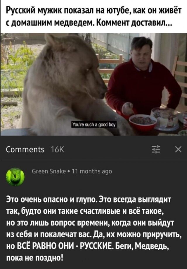 Русский мужик показал на ютубе как он живёт с домашним медведем Коммент доставил Соттептз 16К ЁЁ Бусел Ъпаке П топз 890 Это очень опасно и глупо Это всегда выглядит так будто они такие счастливые и всё такое но это лишь вопрос времени когда они выйдут из себя и покалечат вас да их можно приручить но ВСЁ РАВНО ОНИ РУССКИЕ Беги Медведь пока не поздно