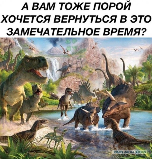 А ВАМ ТОЖЕ порой хочется ВЕРНУТЬСЯ в это ЗАМЕЧА ТЕЛЬНОЕ ВРЕМЯ Ч