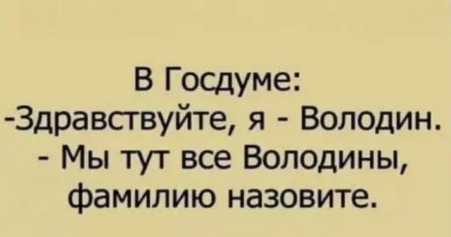 В Госдуме Здравствуйте я Володин Мы тут все Володины фамилию назовите
