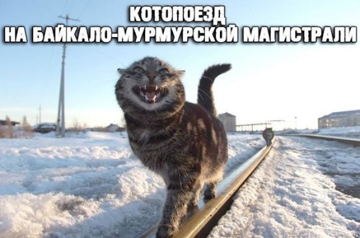 КШОППЕЗП Ш БАЙКАПО МУРМУРСКОП