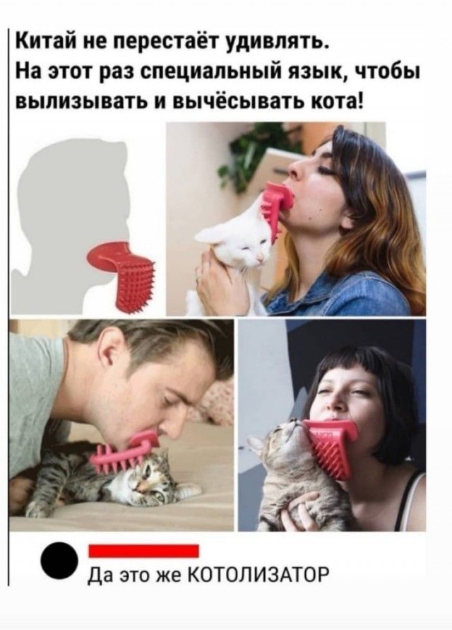 Китай не перестаёт удивлять На этот раз специальный язык чтобы вылизывать и вычёсывать кота Да это же КОТОЛИЗАТОР