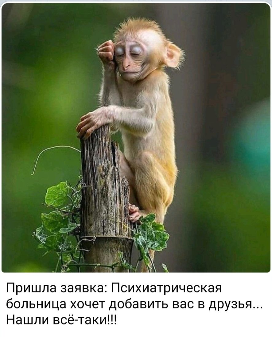 Пришла заявка Психиатрическая больница хочет добавить вас в друзья Нашли всё таки