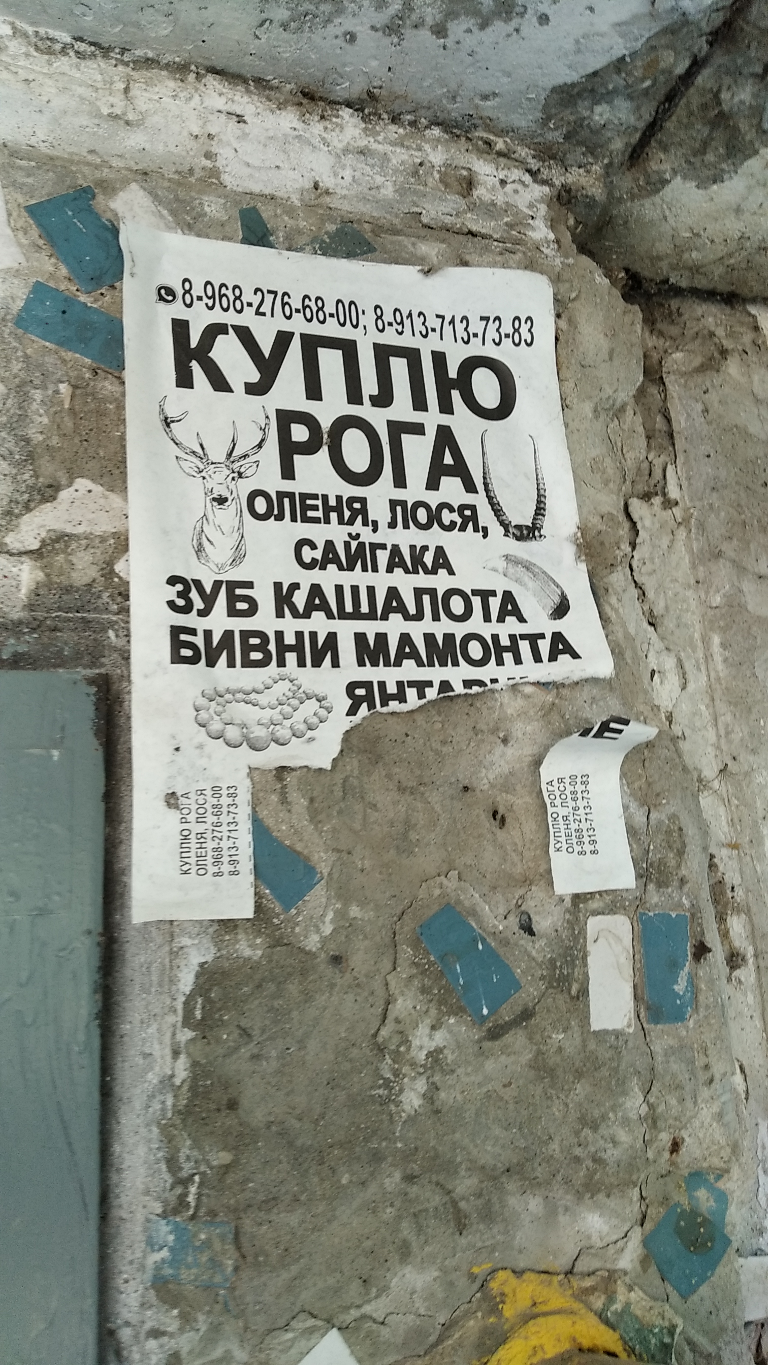 ю ю о З 02 цэ дд ш от