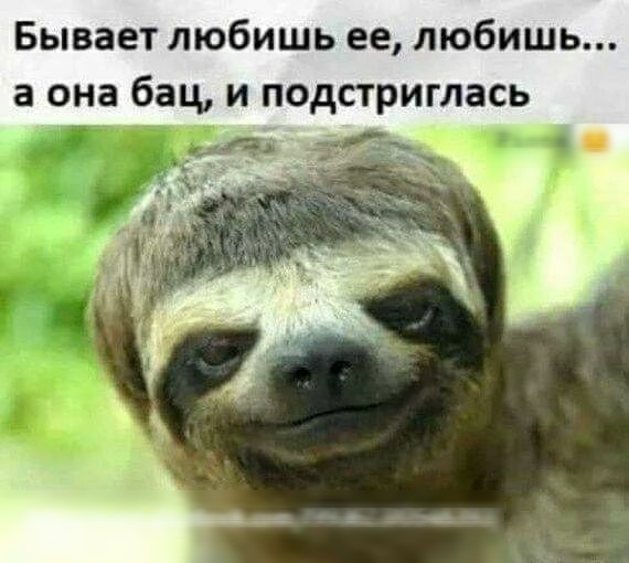 Бывает любишь ее любишь а она бац и подстриглась