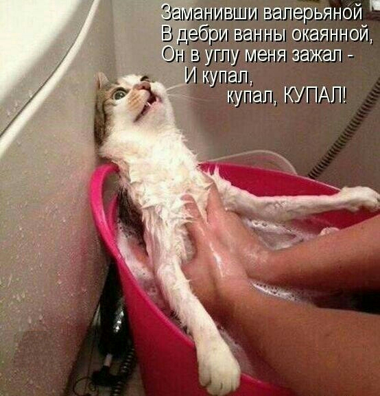 пашщваперьяной 5 нив чаны окаянной Огцв пу меня зажап купап купал КУПАП