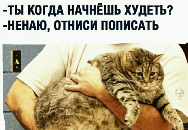 ТЫ КОГДА НАЧНЁШЬ ХУДЕТЬ НЕНАЮ ОТНИСИ ПОПИСАТЬ