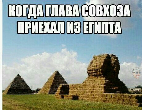_ЕЮШШШ