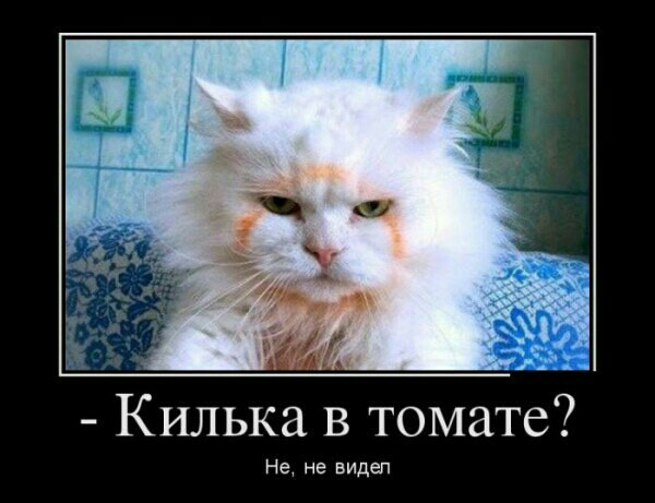 Килька в томате Не не видел