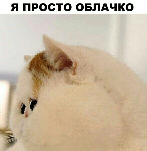Я ПРОСТО ОБЛАЧКО