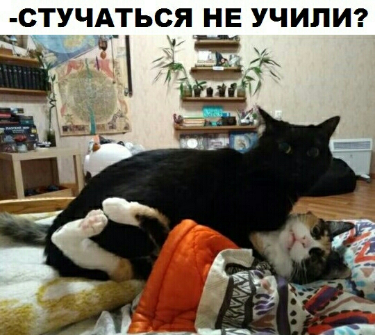 СТУЧАТЬСЯ НЕ УЧИЛИ Эд г д