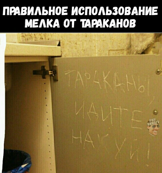 ПРАВИЛЬНОЕ ИСПОЛЬЗОВАНИЕ МЕАКА ОТ ШРАКАНОВ