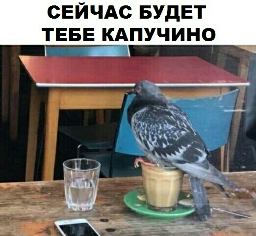 СЕЙЧАС БУДЕТ ТЕБЕ КАПУЧИНО _