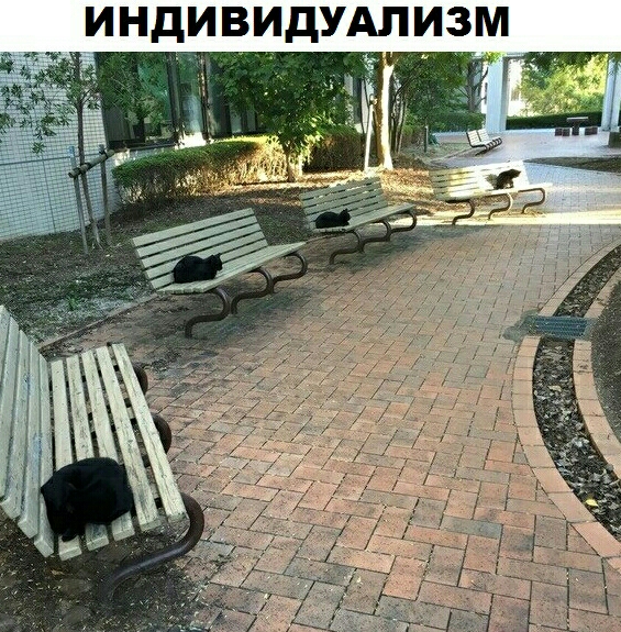 ИНДИВИАПДУИЗМ