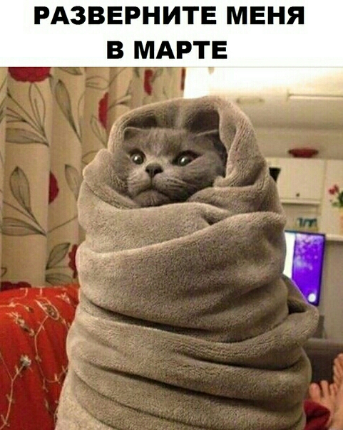 РАЗВЕРНИТЕ МЕНЯ В МАРТгЕ