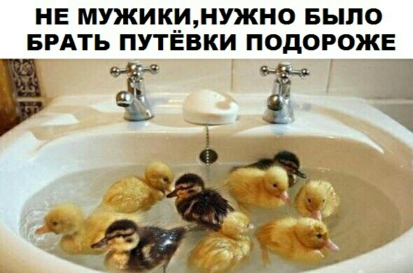 НЕ МУЖИКПИНУЖНО БЫЛО БРАТЬ ПУТЕВКИ ПОДОРОЖЕ