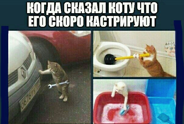 ШШШ ЁШЗШ ЮП что ЕП ШШ АВТРИРУЮТ ттт