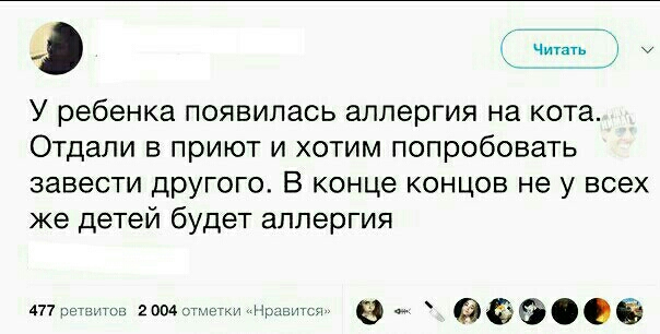 г ч е У ребенка появилась аллергия на кота Отдали в приют и хотим попробовать завести другого В конце концов не у всех же детей будет аллергия Ё 477пшппш 200