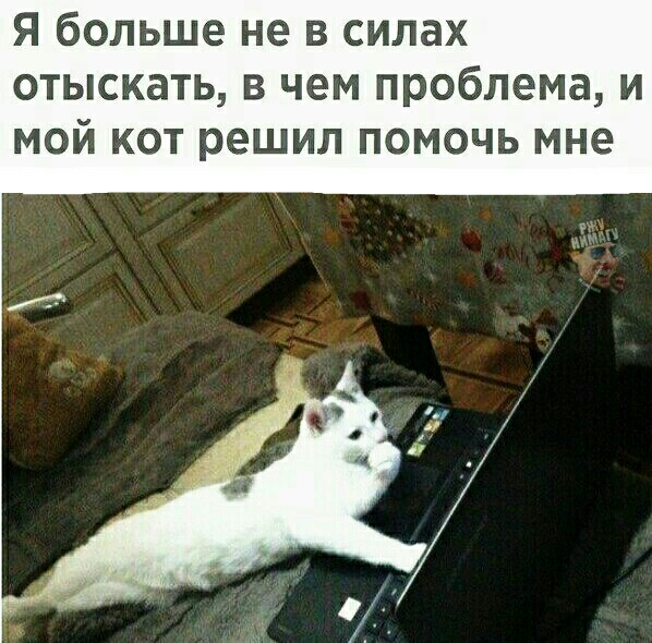 я больше не в силах отыскать в чем проблема и мой кот решил помочь мне