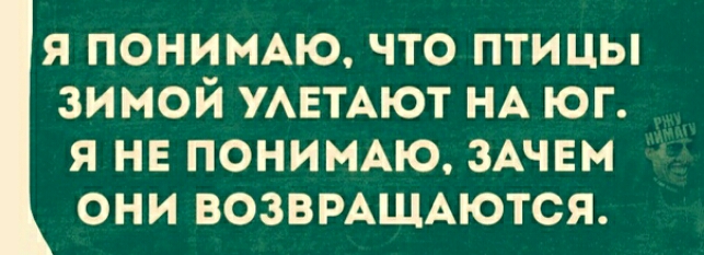 Я ПОНИМАЮ ЧТО ПТИЦЫ ЗИМОЙ УАЕТАЮТ НА ЮГ Я НЕ ПОНИМАЮ ЗАЧЕМ ОНИ ВОЗВРАЩАЮТСЯ