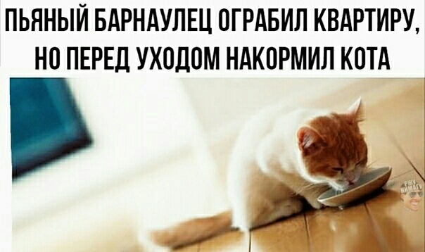 ПЬННЫЙ БАРНАУЛЕЦ ОГРАБИЛ КВАРТИРУ НО ПЕРЕД УХОДОМ НАКПРМИЛ КОТА
