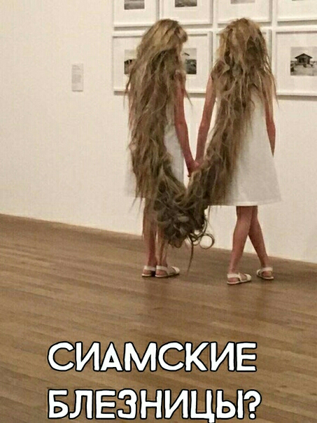 СИАМСКИЕ БЛ ЕЗНИЦЫ