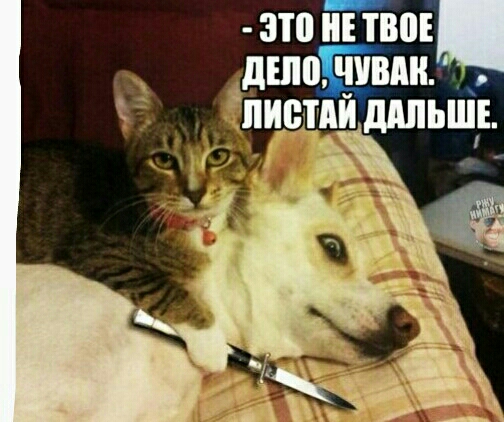 ЗП ТВ