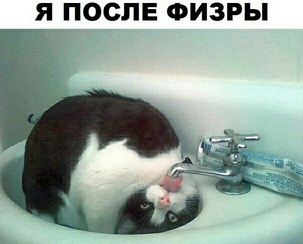 я__послв ФИЗРЫ