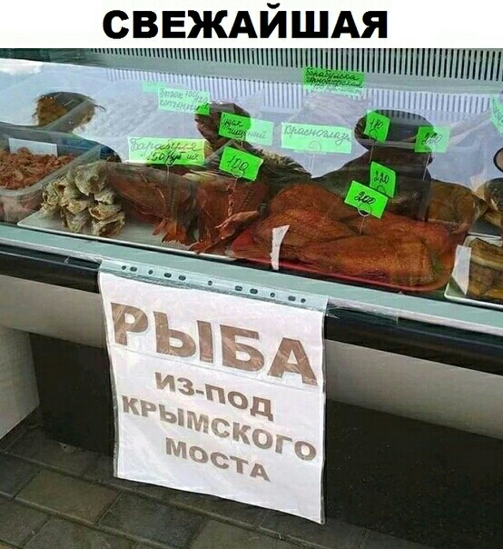 шдя _ _ ЁёйЁштиптттш
