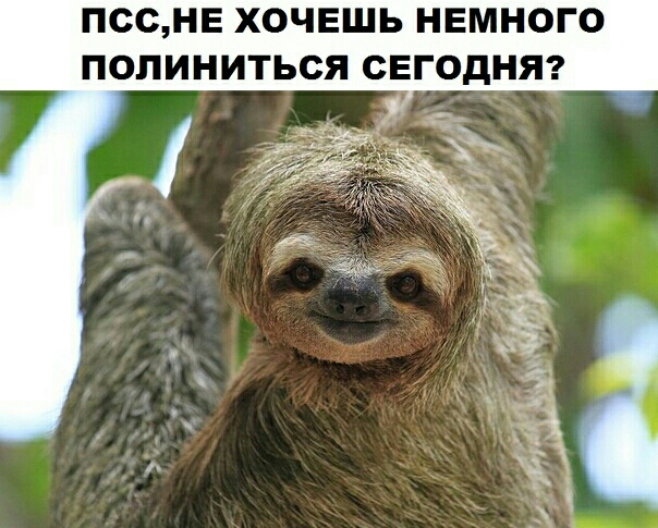 ПССНЕ ХОЧЕШЬ НЕМНОГО ПОПИНИТЬСЯ СЕГОДНЯ