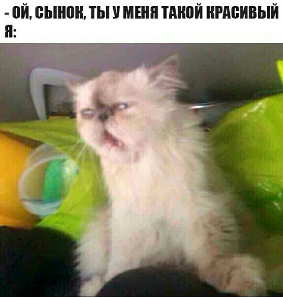 Й ЫШШ ТЫ МЕНЯ ТМЮЙ КРАСИВЫЙ Я