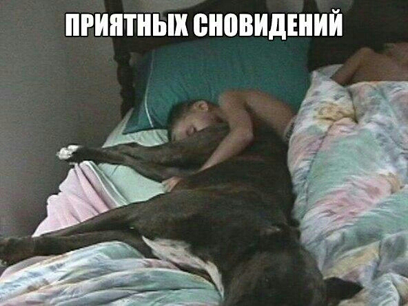 ПРИЯТНЫХ сновидений