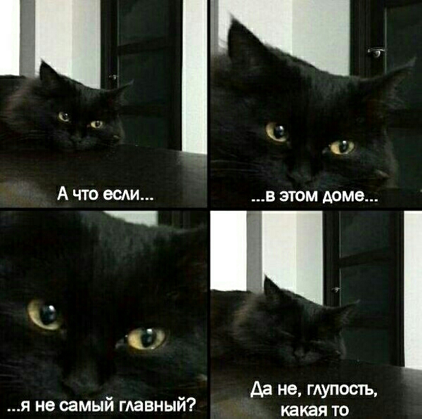 1 А что ест в этом доме _ _ да не тупость я не самым главным какая то