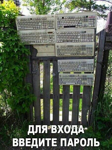 дпявходА вввдит пдроль