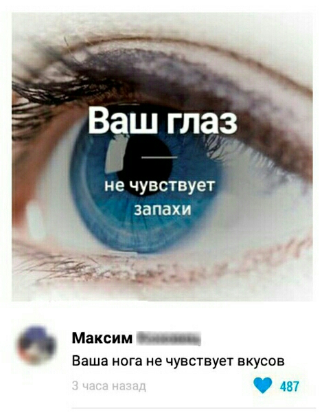 не чувствует запахи Максим _ Ваша нога не чувствует вкусов ды